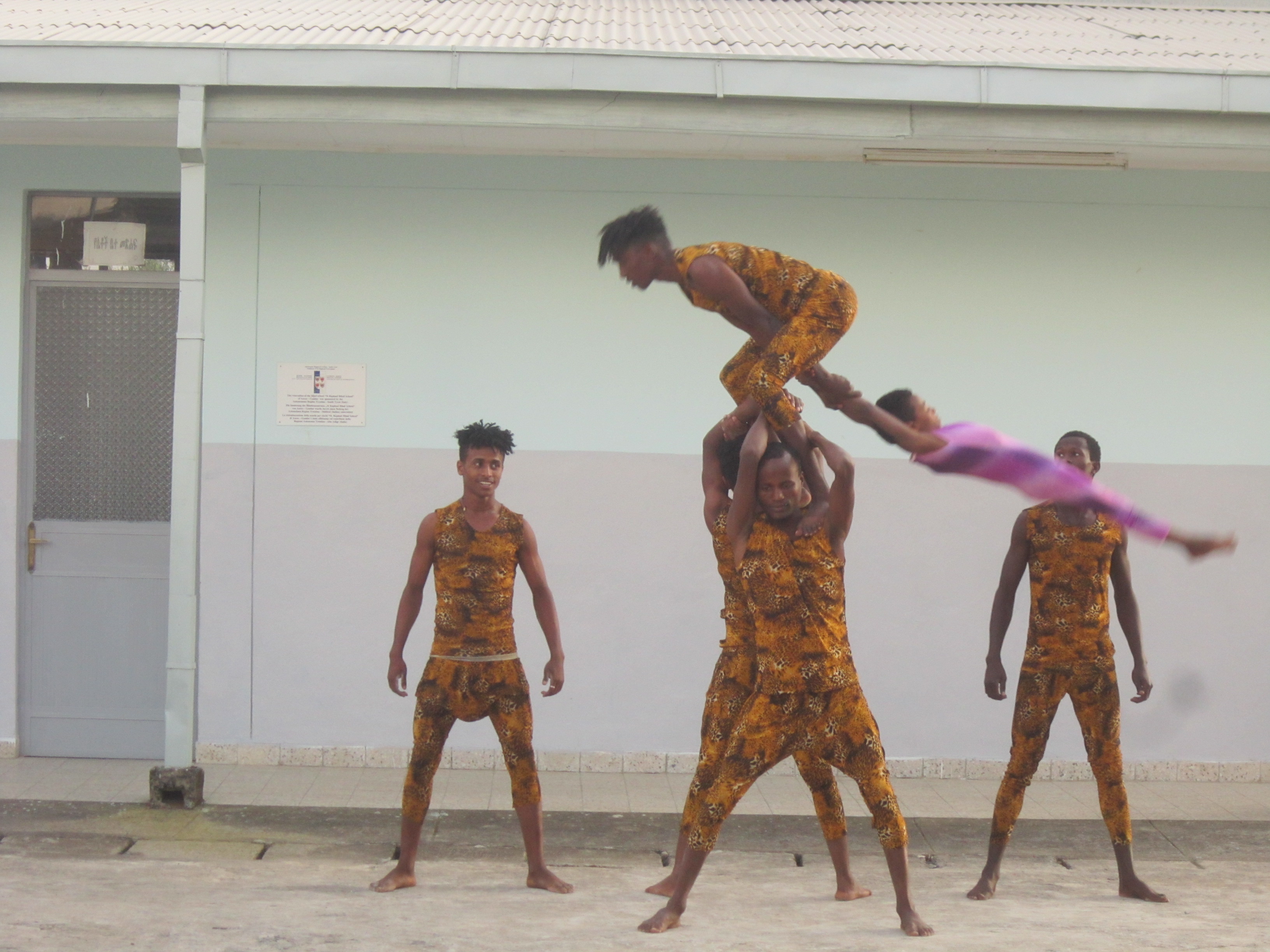 Circus and gymnastics group